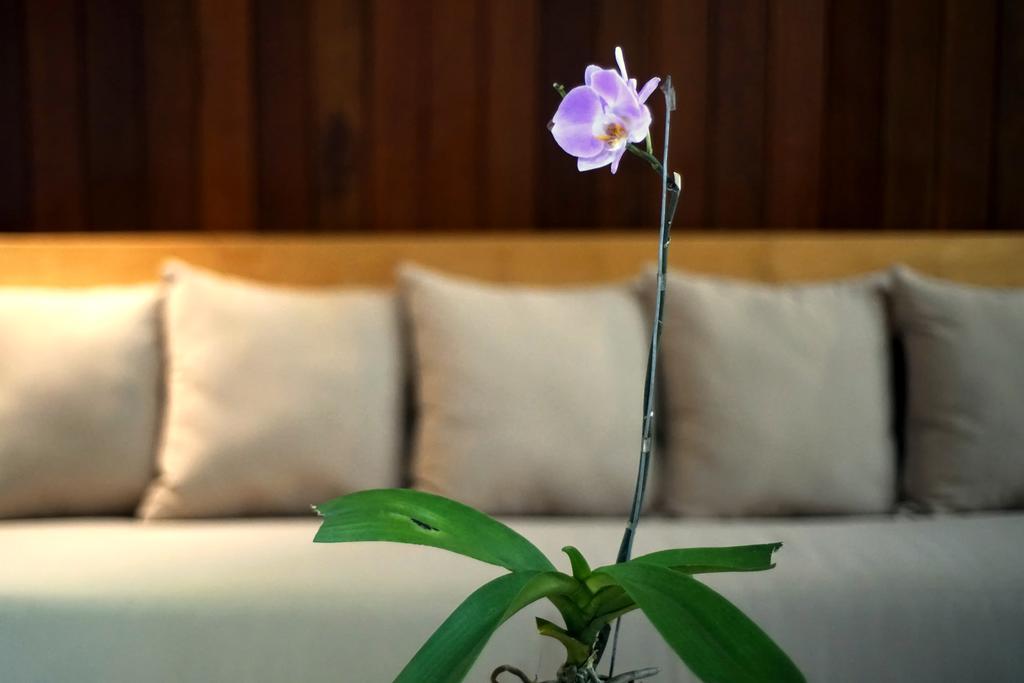 Bale Mandala Villas Senggigi Exteriör bild